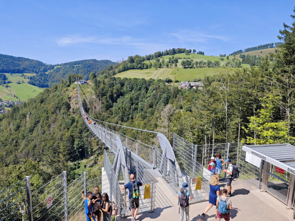 Todtnauer Wasserfälle Hängebrücke - seit 2023 geöffnet