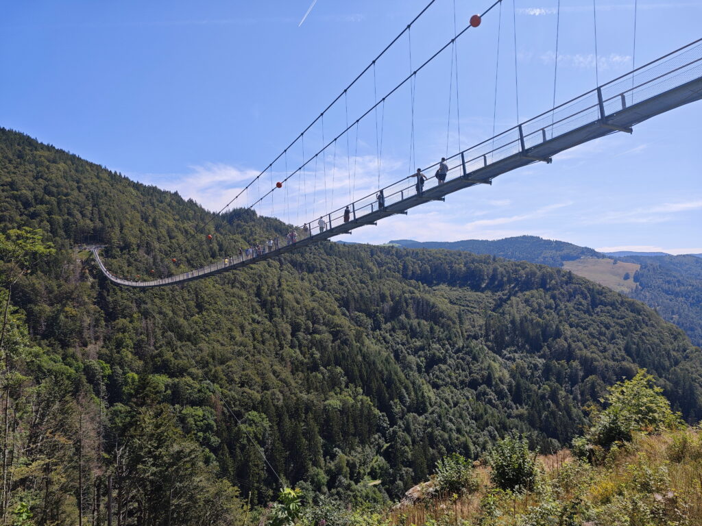 Todtnauer Wasserfälle Wanderung mit Blackforestline