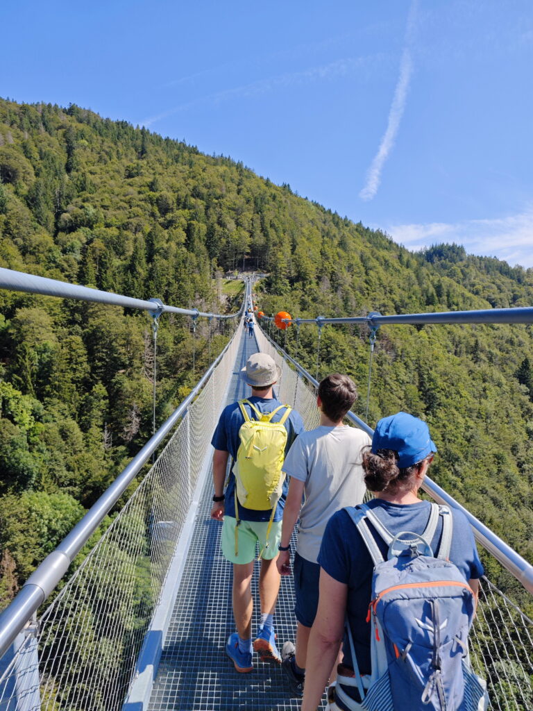 Todtnauer Wasserfälle Wanderung über die Hängebrücke