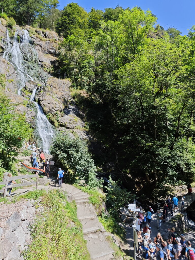 Wanderung Todtnauer Wasserfälle - ab hier geht es über Stufen auf dem Wandersteig hinauf