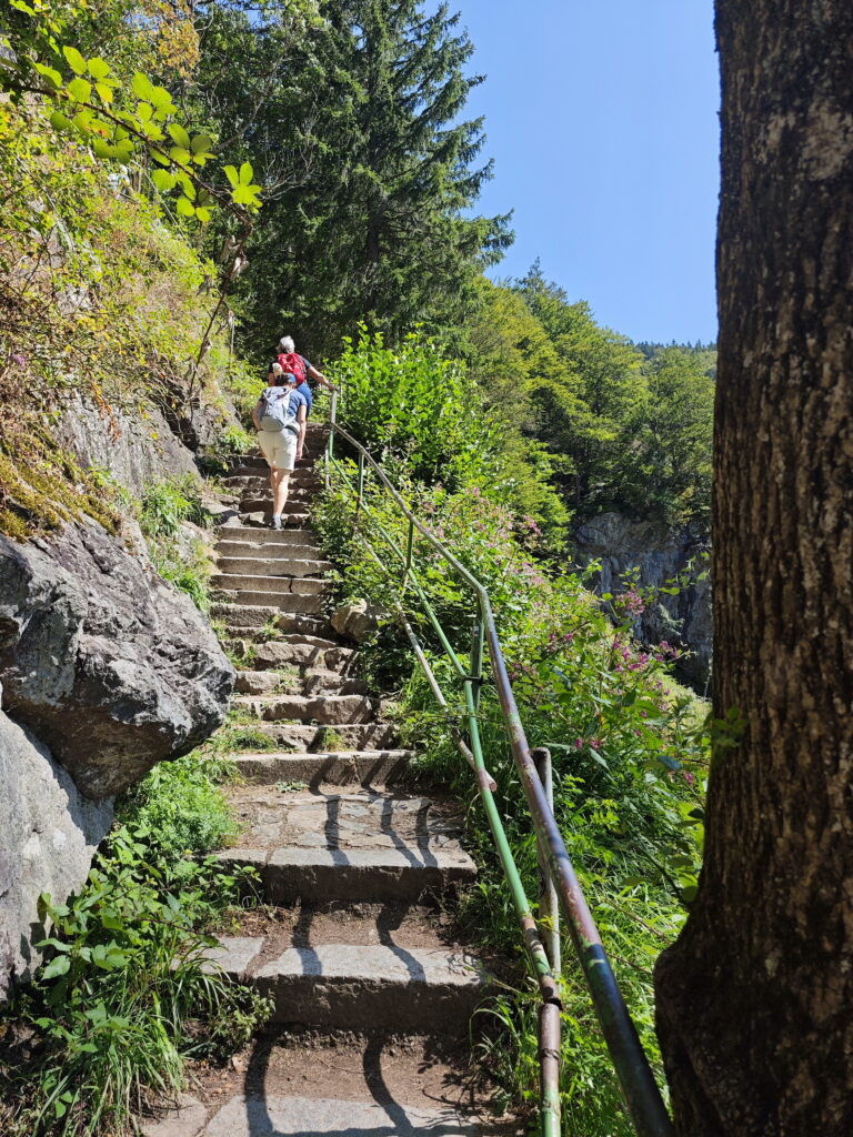 Wanderung Todtnauer Wasserfälle über Stufen, direkt entlang des Wasserfalls