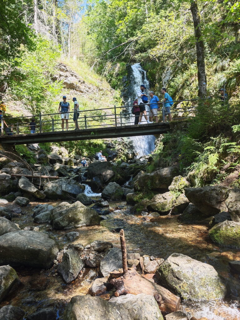 Wanderung Todtnauer Wasserfälle - eine der schönsten Touren im Schwarzwald